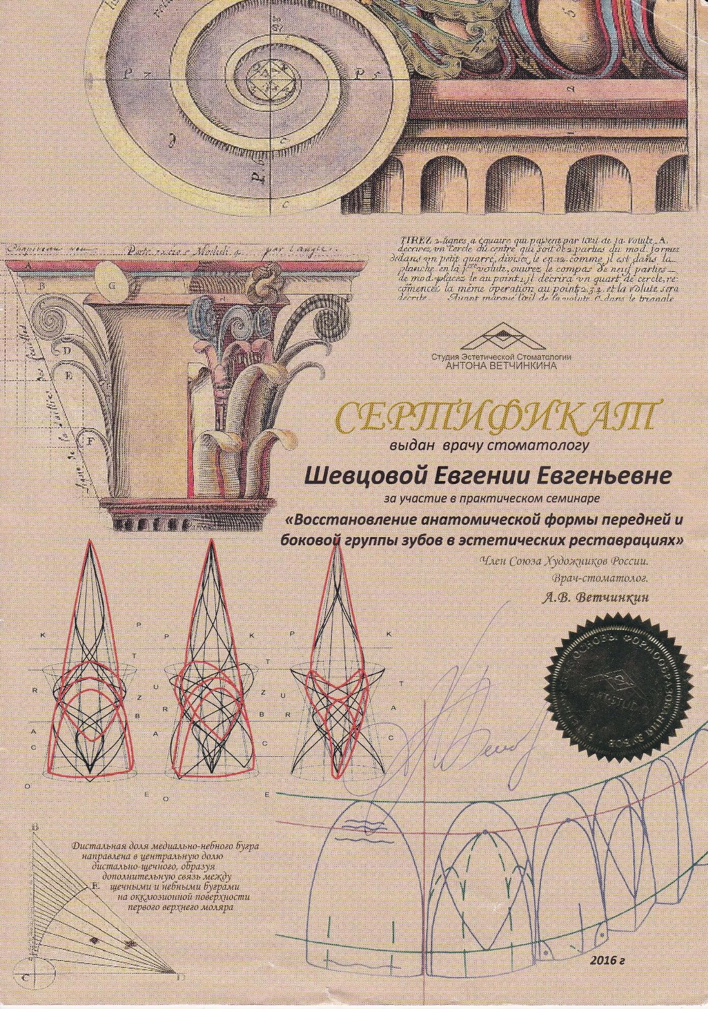 Сертификат - Шевцова Евгения